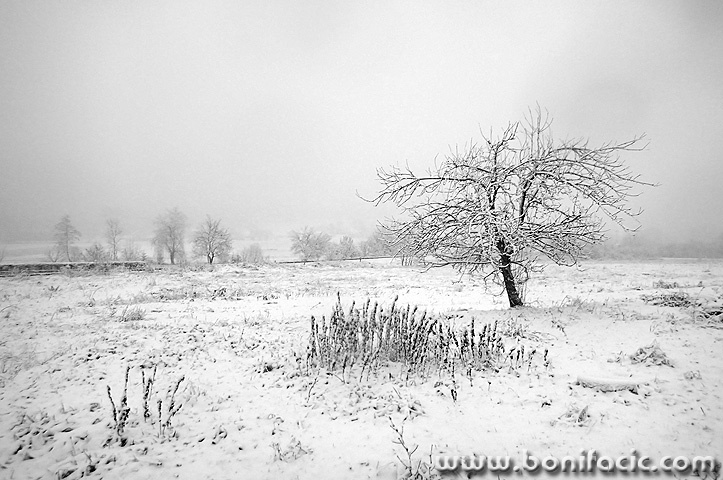 stablosnigjosipdol1mal