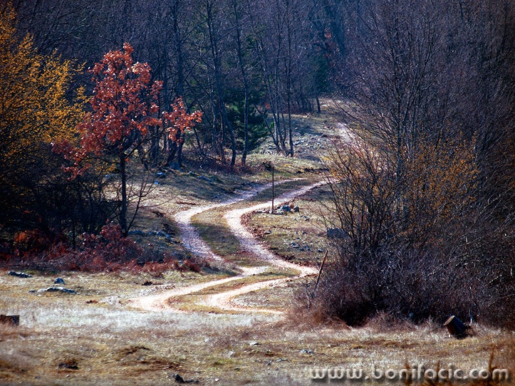 sumskiputlikavelebit1mal