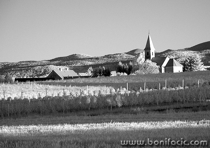 josipdolir1mal