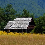 lickakucakorenica2mal