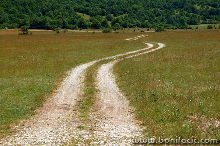 likakorenicacesta4mal