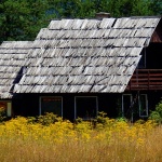 lickakucakorenica1mal