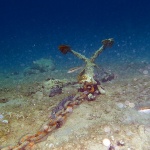 sidropodvodnoblago5mal