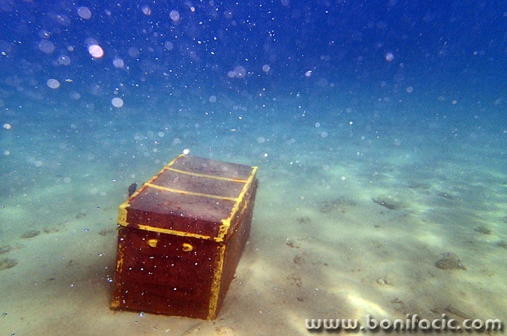 podvodnoblago1mal