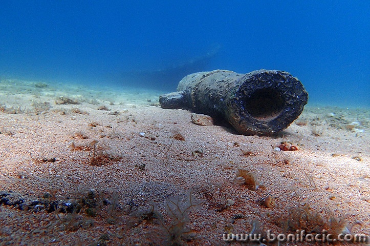 toppodvodnoblago1mal