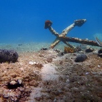 sidropodvodnoblago7mal