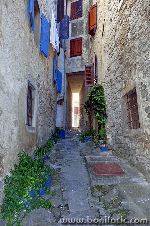 buzet13mal