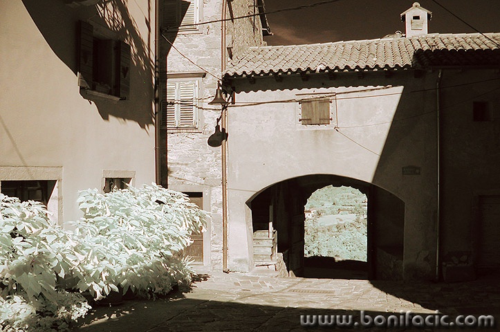 buzet14mal