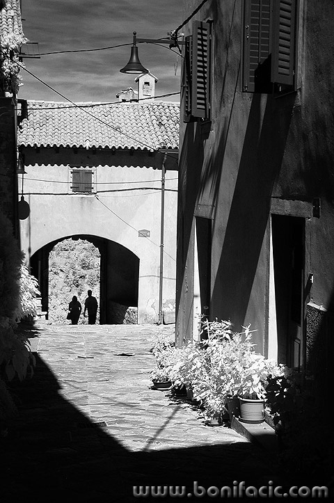 buzet19mal