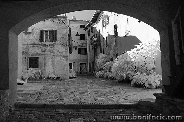 buzet24mal