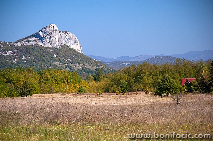 zirkuca2