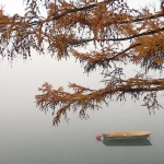 sabljacijesenbarka6mal