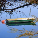 sabljacijesenbarka2mal