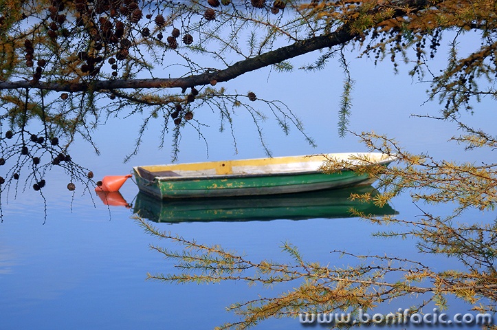 sabljacijesenbarka2mal