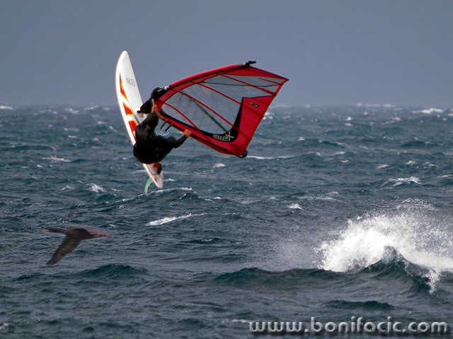 surf1mod