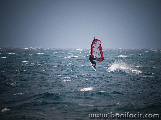 surf23