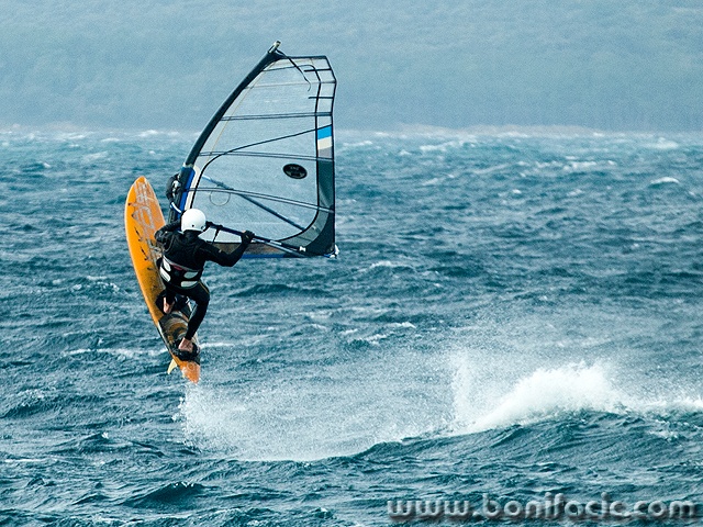 surf31