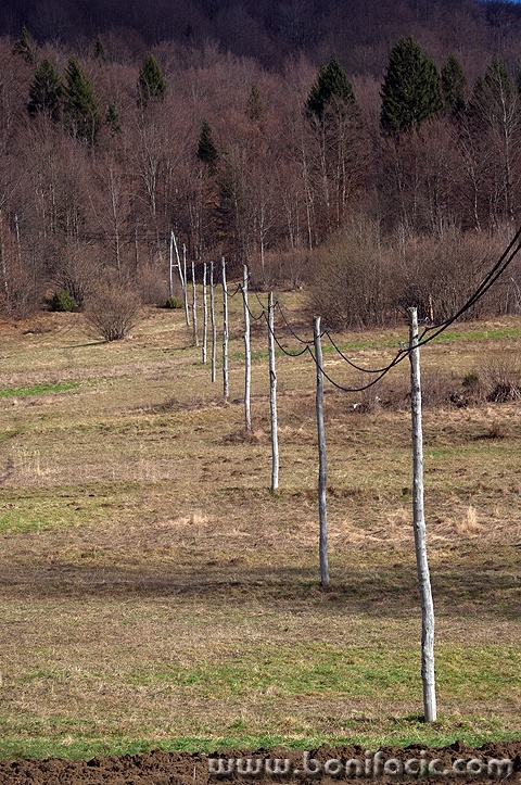 potokmusulinski1