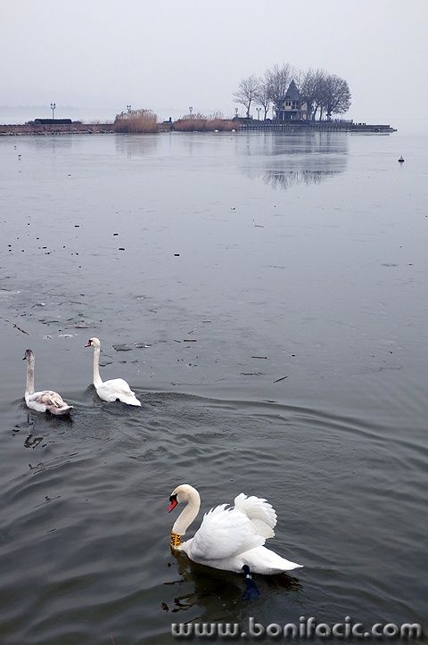 balaton6