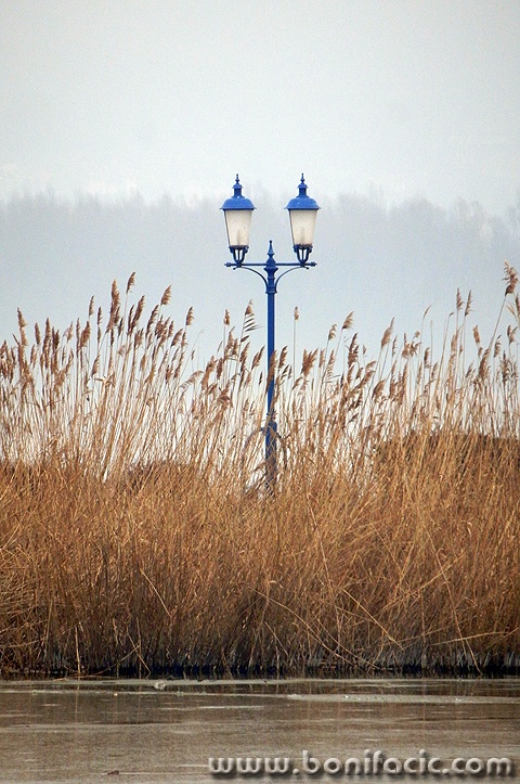balaton8