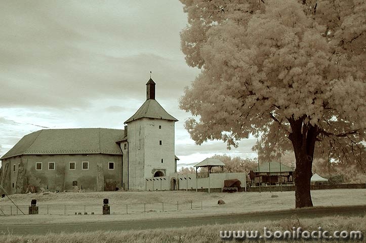 djurdjevacir2