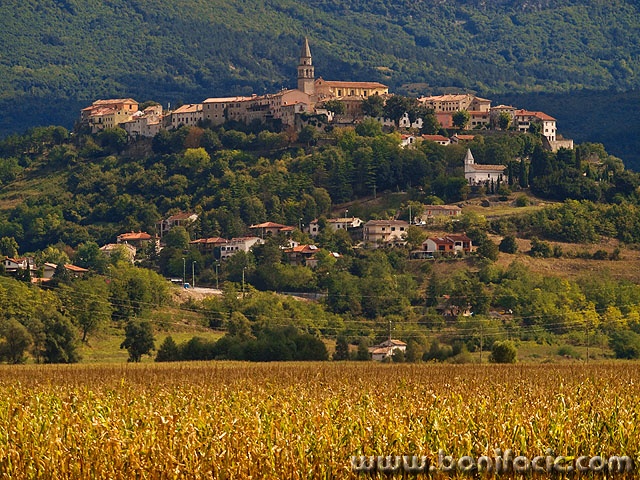 buzet1mal