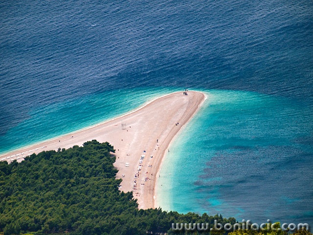 bracbolplaza1 copymal