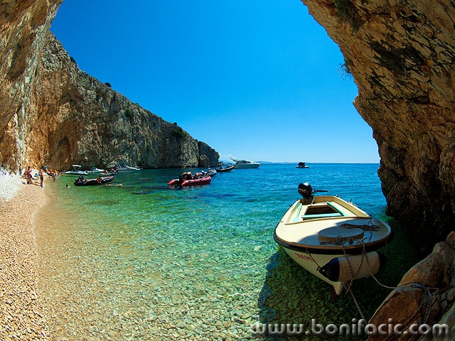 morebarkaplaza2 copymal