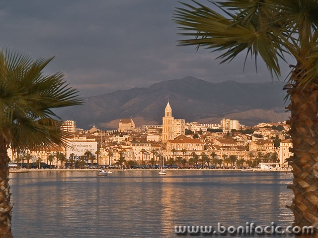 travel___Palm City___Split, Croatia.