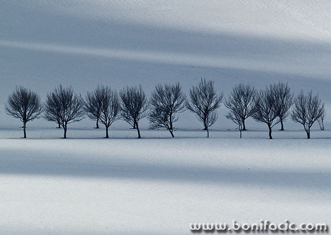 nature___Shadows___Krasno, Croatia.