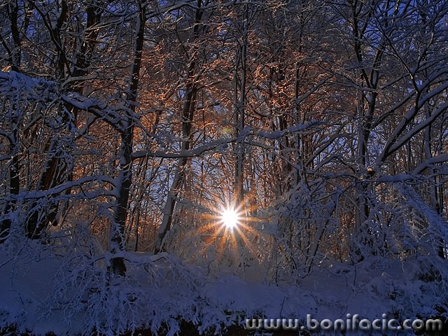 nature___Star Eye___Lokve, Croatia.