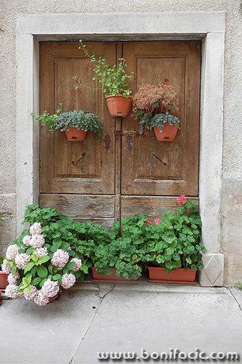 buzet20154