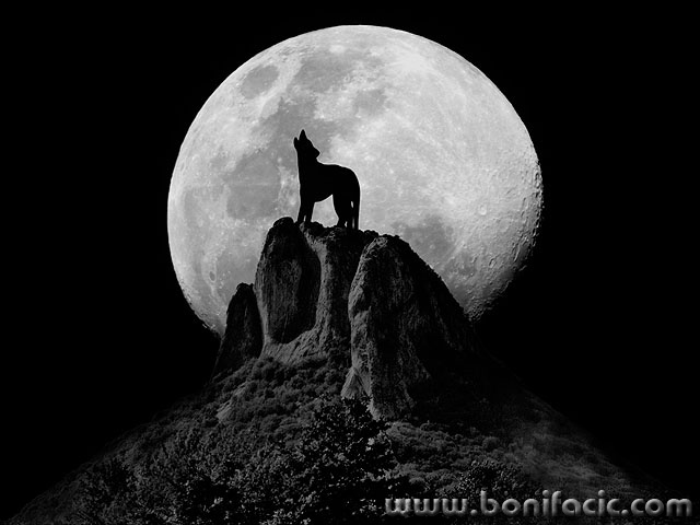 zirmisecvukmod1demo1mal