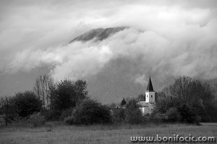 lickinovi1BW