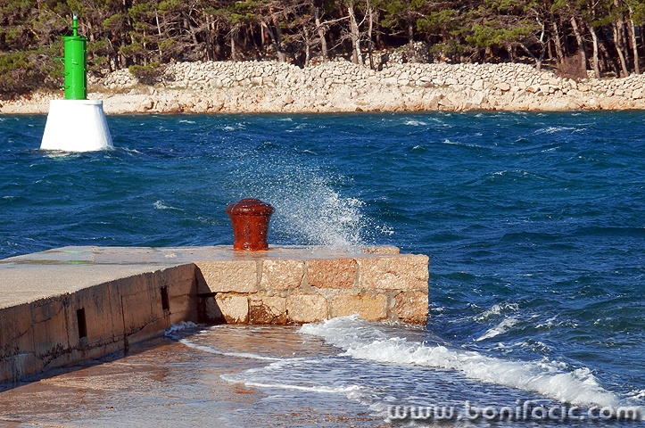 buramulicsvjetionik1