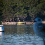 svjetionikgalebjedrilicanasukana1