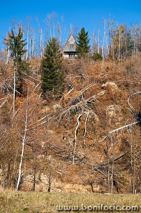 sumavikendicafuzine1