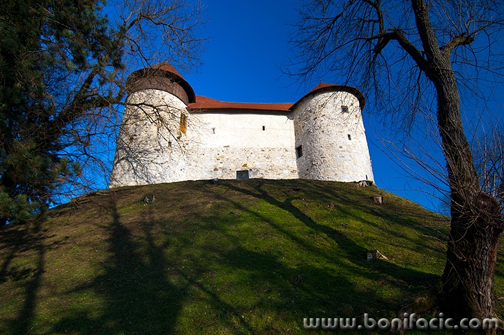 dubovac1