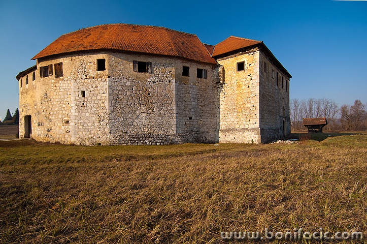 ribnik4