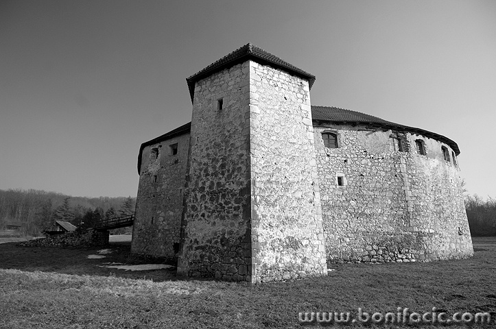 ribnik7BW