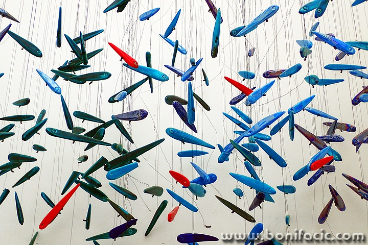 ribicesvetimartin1mal