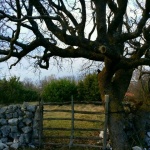 20160308_233316-480x640