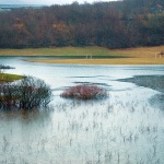 jezeraneigraliste4mal