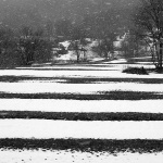 kapelamecavapoljesnig1mal