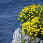 vrbnikgroterozica7mal