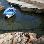 barkalucicamalinska1mal