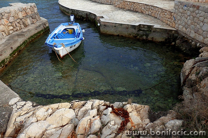 barkalucicamalinska1mal