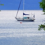 njivicejedrilica1mal