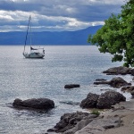 njivicejedrilica3mal