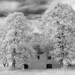 IRkucaingraredotocac1mal